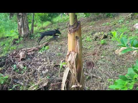 Видео: 2 ноября 2025 г.