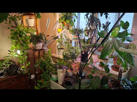 Видео: Перестановка, подсветка.