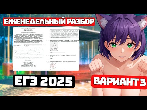 Видео: Подготовка к ЕГЭ 2025, Урок 3 для Чайников, Профиль