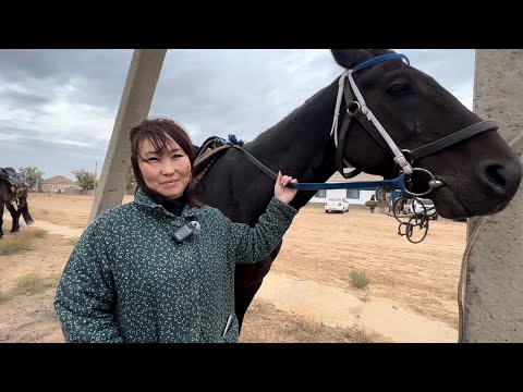 Видео: САРПА КЕТЧЕНЕРОВСКИЙ РАЙОН