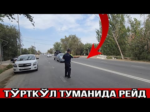 Видео: ТЎРТКЎЛ ТУМАНИДА КАТТА РЕЙД ТАДБИРЛАРИ ОЛИБ БОРИЛМОҚДА КЎРАМИЗ #xalqbilsin 