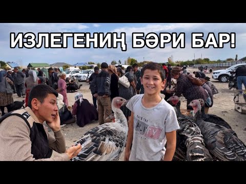 Видео: ШЫМБАЙ ТАУЫҚ БАЗАРЫ БАХАЛАРЫ ӨЗГЕРДИ ! ҚОЯН ҒАЗ УЙРЕК ИЗЛЕГЕНИҢ БӘРИ БАР