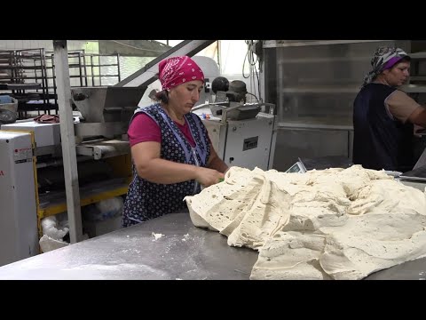 Видео: Від духовки до пекарні: як у селі на Болградщині виготовляють хліб та створюють нові робочі місця