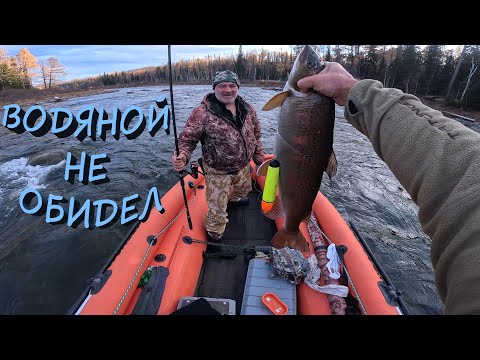 Видео: ХАРИУС НАЧАЛ КАТИТЬСЯ | В ПРИТОКАХ ЕНИСЕЯ РЫБАЛКА ЛУЧШЕ | ЖИВЁМ  В ТАЙГЕ  часть - 3