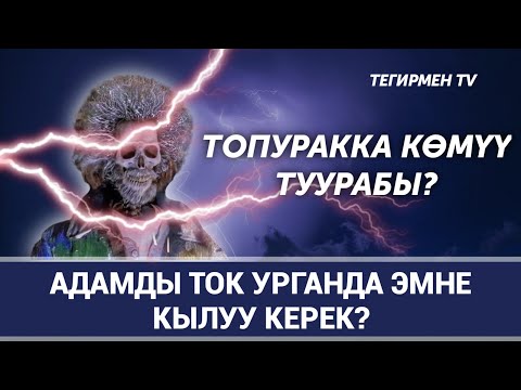 Видео: Ток урса эмне кылуу керек?|Тегирмен TV