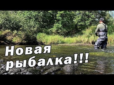 Видео: КАК Я РЫБАЧИЛ РАНЬШЕ??? РЕКА РАСКРЫЛАСЬ ПО НОВОМУ!!!