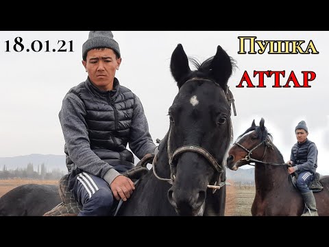 Видео: Заканын ПУШКА АТТАРЫ ЧЫКТЫ 🔥ҮЙҮРҮ МИҢ АТТАР ҮЧӨӨ ЧЫКТЫ