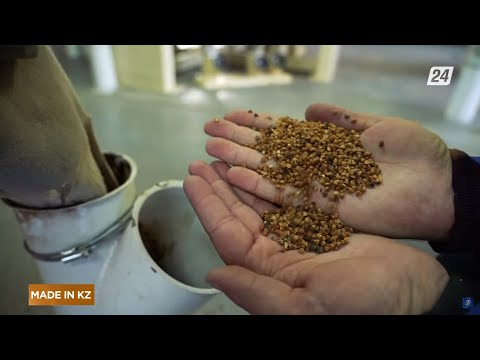 Видео: Производство гречки | Made in KZ