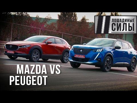 Видео: Mazda CX-30 vs Peugeot 2008. Противостояние философий 2020