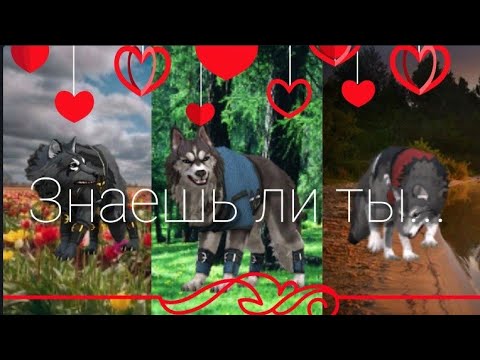 Видео: WildCraft. Клип под песню Максим "Знаешь ли ты...". Вайлд Крафт.