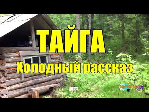 Видео: ТАЙГА | Холодный рассказ