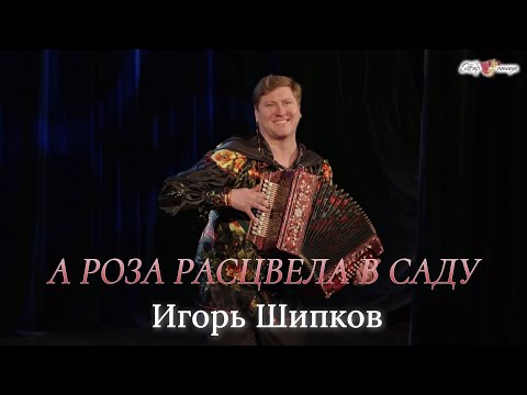 Видео: А роза расцвела в саду - Игорь Шипков
