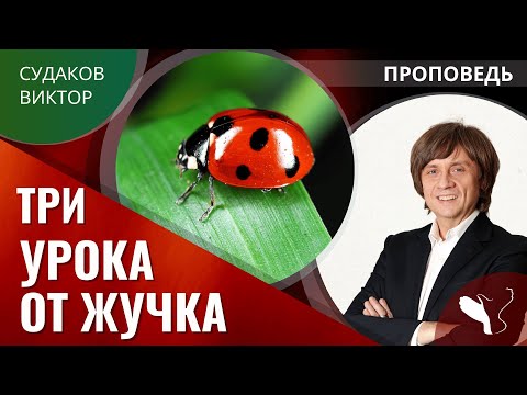 Видео: Виктор Судаков | Три урока от жучка | Проповедь