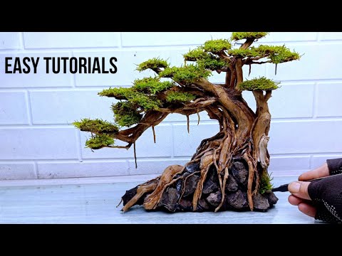 Видео: Создание деревьев бонсай и посадка мха легко