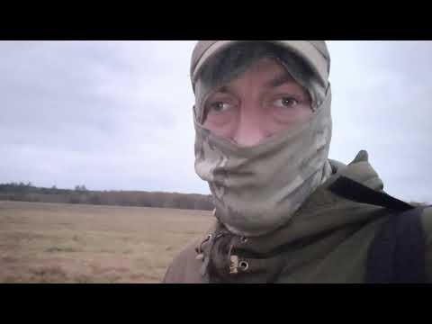Видео: Охота на косулю , и попутно попался огромный лисавин. Хищника не пропускаем. 