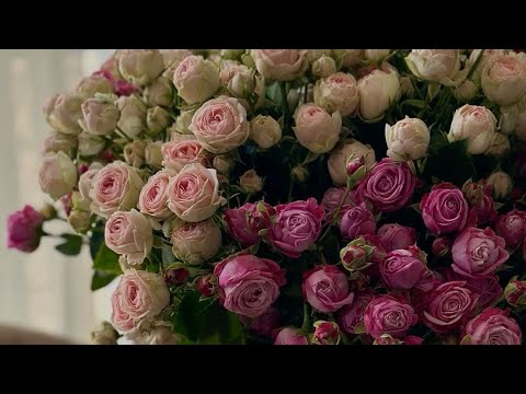 Видео: AСМР пустые баночки ИЮЛЬ 2025года #асмр #asmr #асмрбаночки