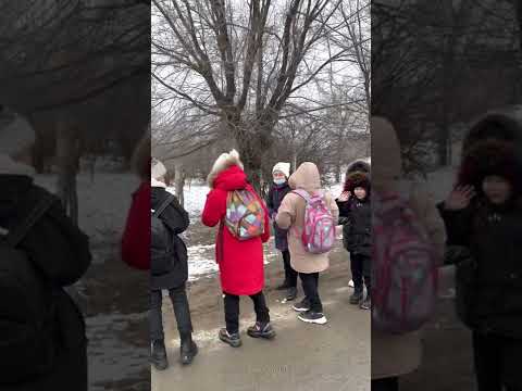 Видео: Бесарық ауылы