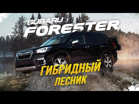 Видео: SUBARU FORESTER 🔥ГИБРИДНЫЙ ЛЕСНИК😱КОНЕЦ ЭПОХЕ ТУРБО-СУБАРУ!?