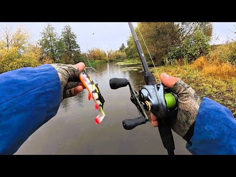 Видео: Великі Приманки чи Малі? На Які Приманки Краще Клює Щука