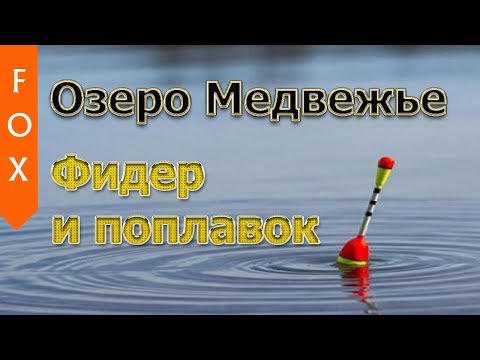 Видео: Фарм на оз.Медвежье, фидер и поплавок