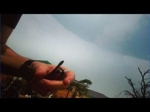 Видео: Ураган 5 категории Дориан обрушился на Багамские острова (2019)