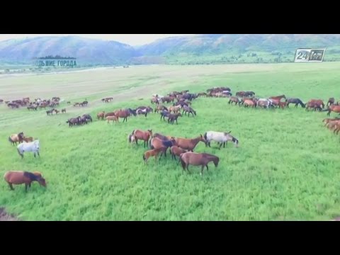 Видео: Большие города. Алакольский район