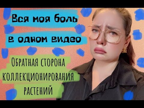 Видео: Вся моя боль. Обратная сторона коллекционирования растений