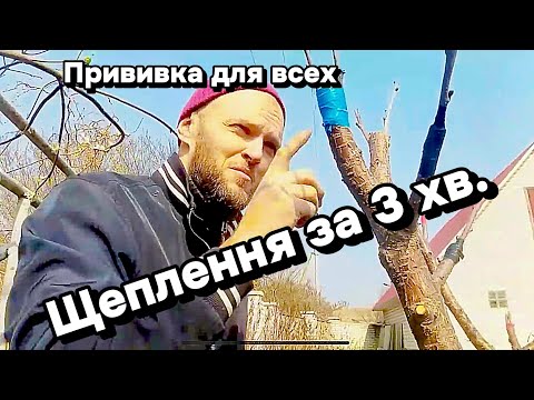 Видео: Щеплення дерев. Коротко і зрозуміло. Прививка за 3 минуты. 100% результат.