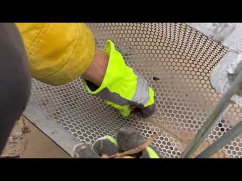 Видео: Чистка пляжа совком - От мухобоек,странных вещей и подсвечников 