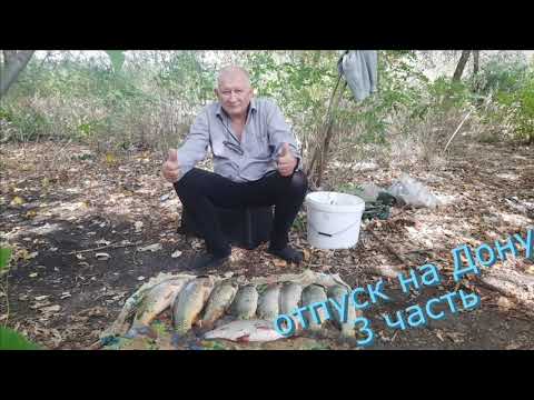 Видео: Рыбалка и отдых на Дону. Отпуск на воде с удочками. Сазаны трофейных размеров. Часть третья.