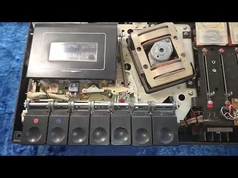 Видео: Старушка Vilma - 311C. видео от 23.02.22.