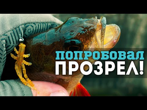 Видео: 💥ОКУНЬ за ОКУНЕМ! НАЖОРИСТЫЕ ПРИМАНКИ и КОМПЛЕКТ за 7 ₽: Mavllos Plume + Mavllos Resolute Bass 1500S