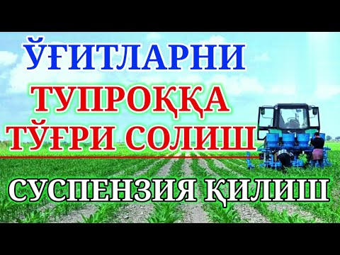 Видео: O‘G‘ITLARNI TO‘G‘RI BERISH va SUSPENZIYA QILISH. 132-son. БАРГДАН ОЗИКЛАНТИРИШ