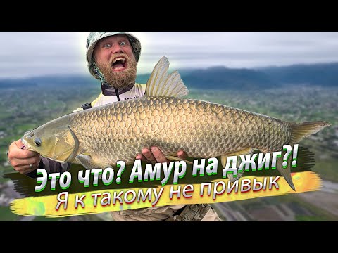 Видео: Началось с квёлых поклёвок, а потом КАК ПОНЕСЛОСЬ! ОГРОМНЫЙ АМУР на микроджиг.