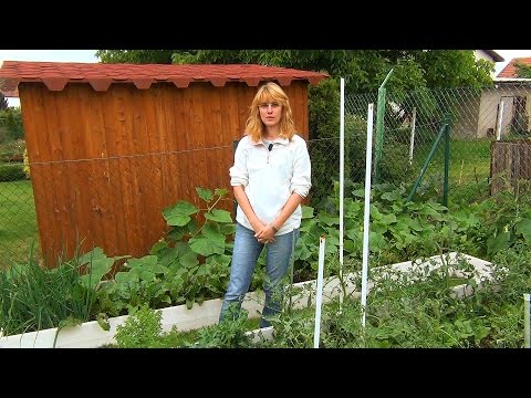 Видео: Совместные посадки. Вариант 4.