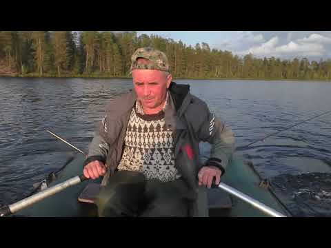 Видео: Золотая осень! Рыбалка на лесном озере  в Карелии. Часть 1.