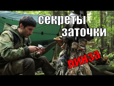 Видео: Топовая заточка ножа для бушкрафта и охоты I Заточка конвекса