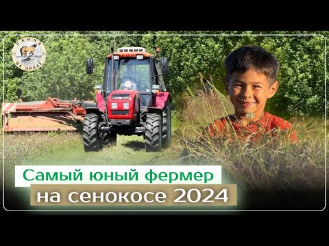 Видео: Заготовка сена в этом году не может не радовать | Сенокос 2024