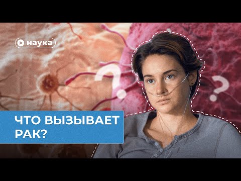 Видео: Что на самом деле вызывает рак?