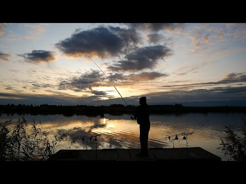 Видео: ЛУЧШАЯ НАСАДКА ДЛЯ АМУРА. Решаем проблему сходов на рыбалке.  Ловля на плавающие бойлы.