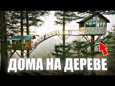 Видео: 10 Самых Крутых Домов на Дереве