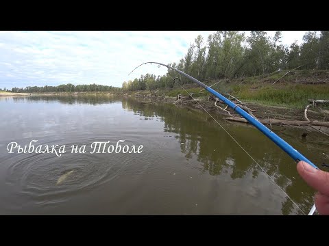Видео: Один с Ночевкой на Рыбалке. Река Тобол. Карбаны. Подготовка к Соревнованиям Тюменский спиннинг.