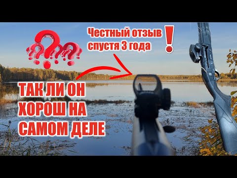 Видео: Коллиматорный прицел и чистый патрон! Отзыв после 3х лет использования