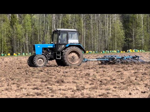Видео: Культивируем поле, готовим под посев медоносов