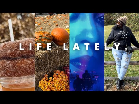 Видео: СПИСОК ДЕЛ НА ОСЕНЬ | РАСПАКОВКА | ЖИЗНЬ ЖЕНЫ И НЕ ТОЛЬКО