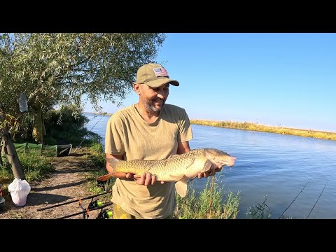 Видео: Рыбалка на карпа на Днестре на первой яме в середине октября