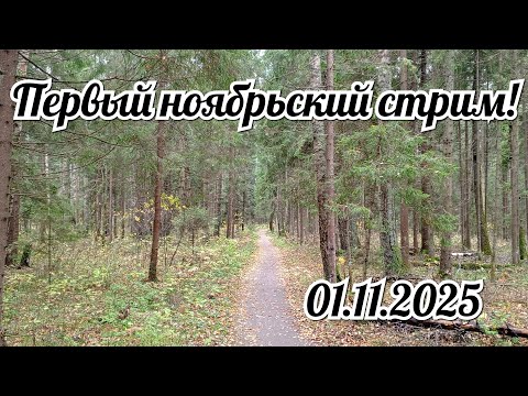Видео: Первый ноябрьский стрим  01.11.2025