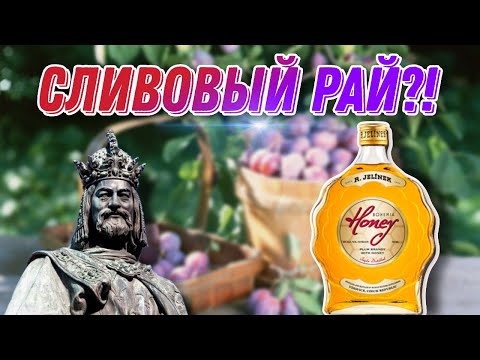 Видео: Бренди или наливка?! Недорогой, чешский, вкусный!! Обзор сливовицы Rudolf Jelinek Bohemia Honey!