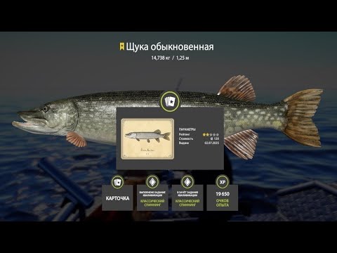 Видео: РАЗДАЧИ НА ОСТРОГЕ АМУРА И ЩУКИ, УСАЧА И САЗАНА НА АХТУБЕ И МЕГА ФАРМ НА МЕДНОМ В РУССКОЙ РЫБАЛКЕ 4