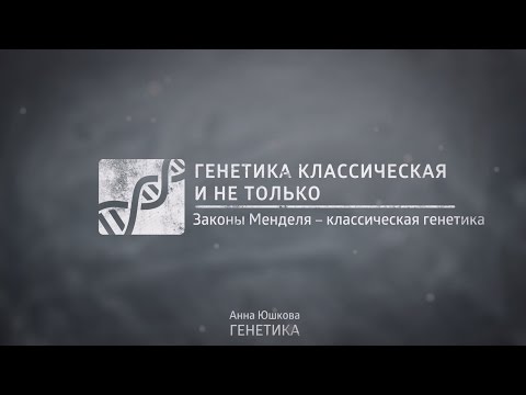 Видео: Лекция 3.2.1 | Законы Менделя – классическая генетика | Анна Юшкова | Лекториум